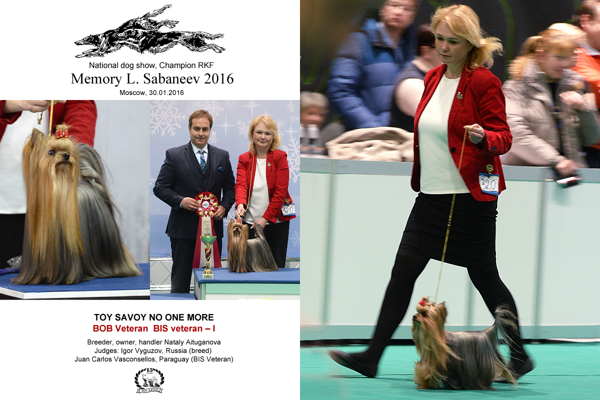 TOY SAVOY NO ONE MORE